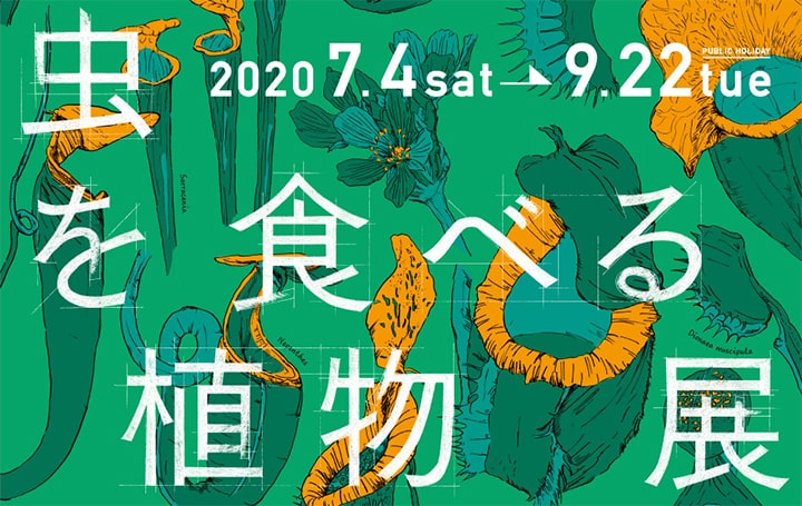 Carnivorous Plant Exhibition 2020, Sakuya Konohana Kan Conservatory