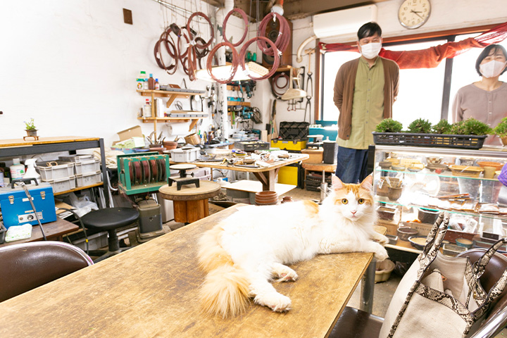 大阪の盆栽専門店「BONSAI LABO 凜」へ初心者が行ってみた | Osaka