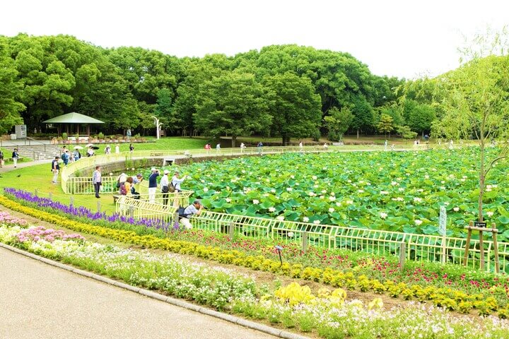 大阪梅雨季 來去逛公園吧 Osaka Metro Nine