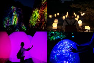 長居植物公園內「teamLab Botanical Garden Osaka」