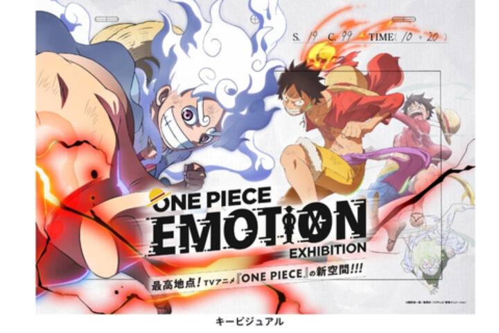 ONE PIECE EMOTION