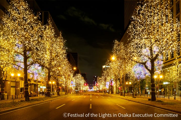 The photograph is Osaka Midosuji Illumination 2025 Sample Image.
