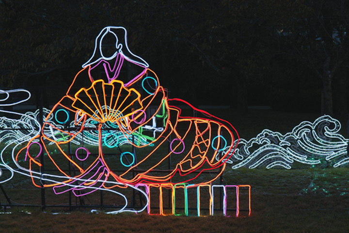 일본 공주 일루미네이션