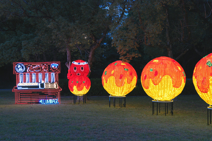 타코야끼 일루미네이션