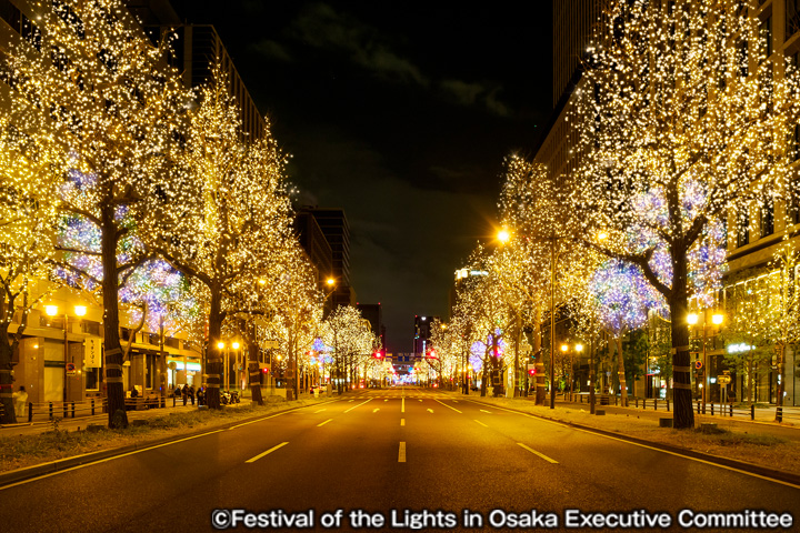 大阪「御堂筋イルミネーション2025」のイメージ写真