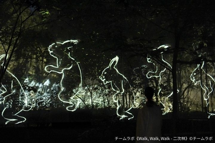 Walk, Walk, Walk - Secondary Forest