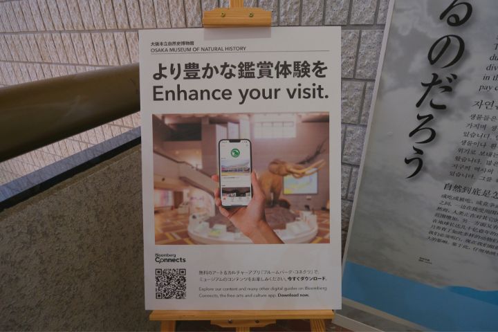 大阪市立自然史博物館：Bloomberg Connects